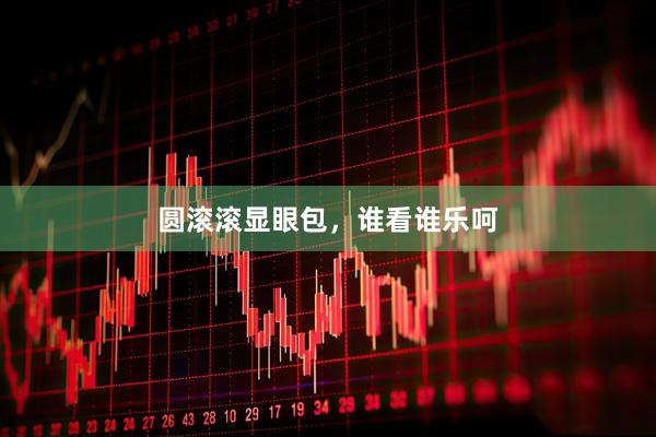 圆滚滚显眼包，谁看谁乐呵